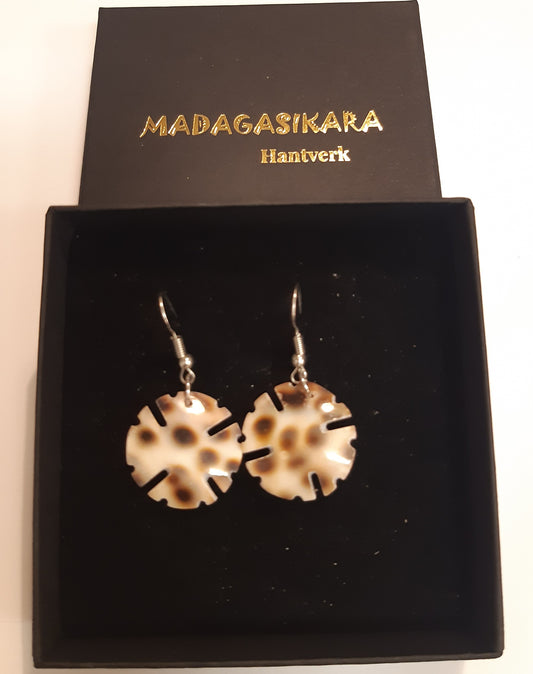 Skalörhängen - Akorandriaka